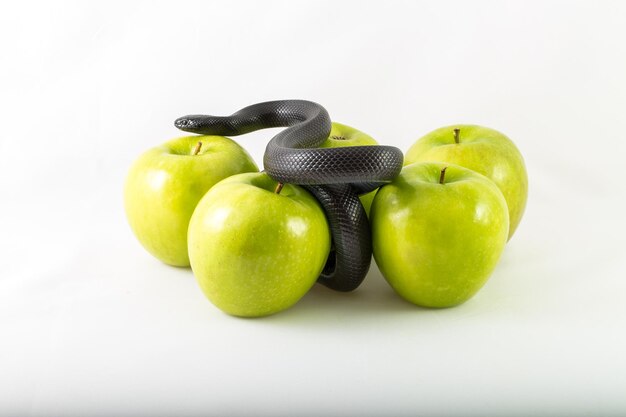 ghd sports apple
